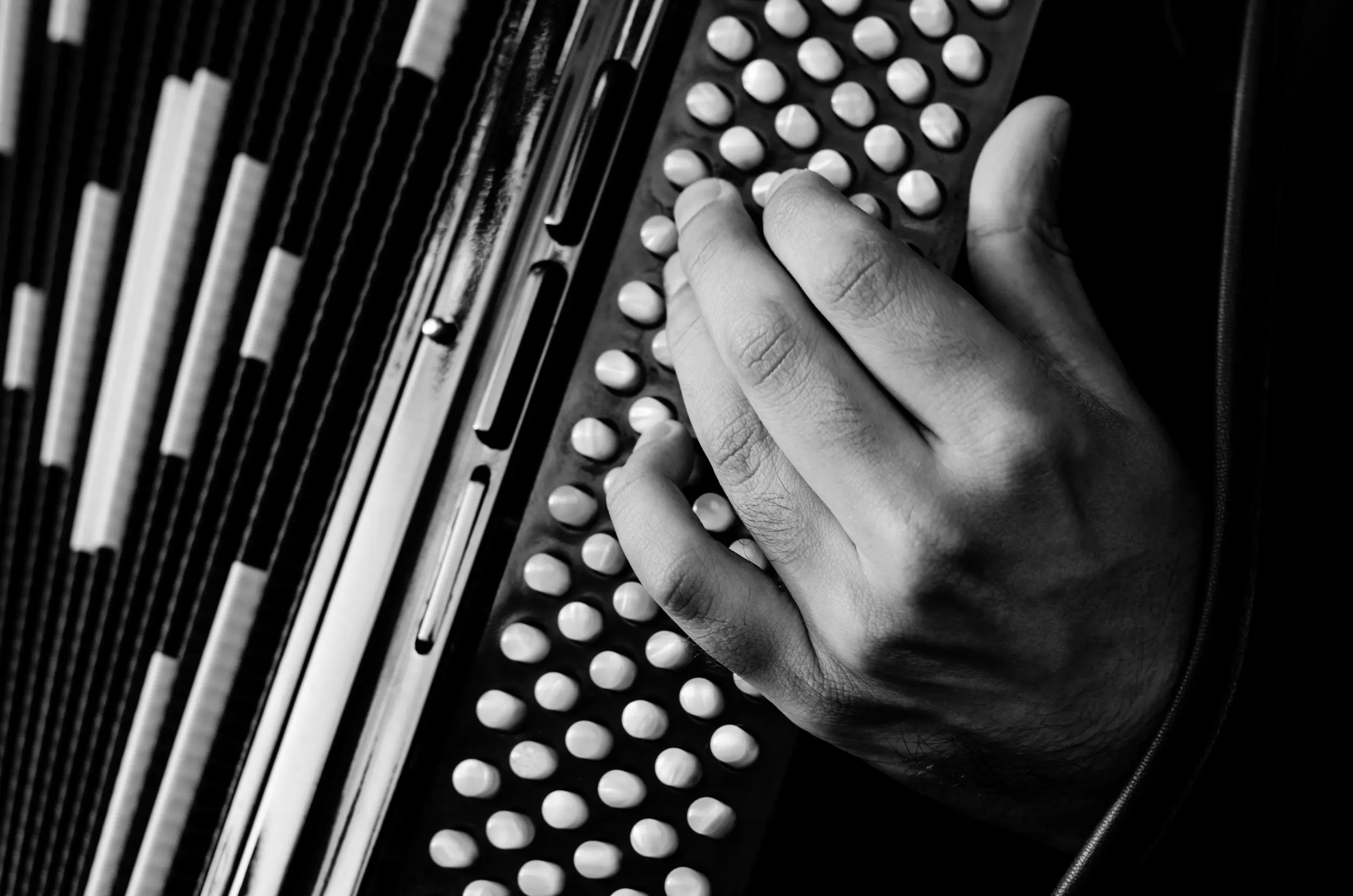 Dettaglio di una mano e di una fisarmonica